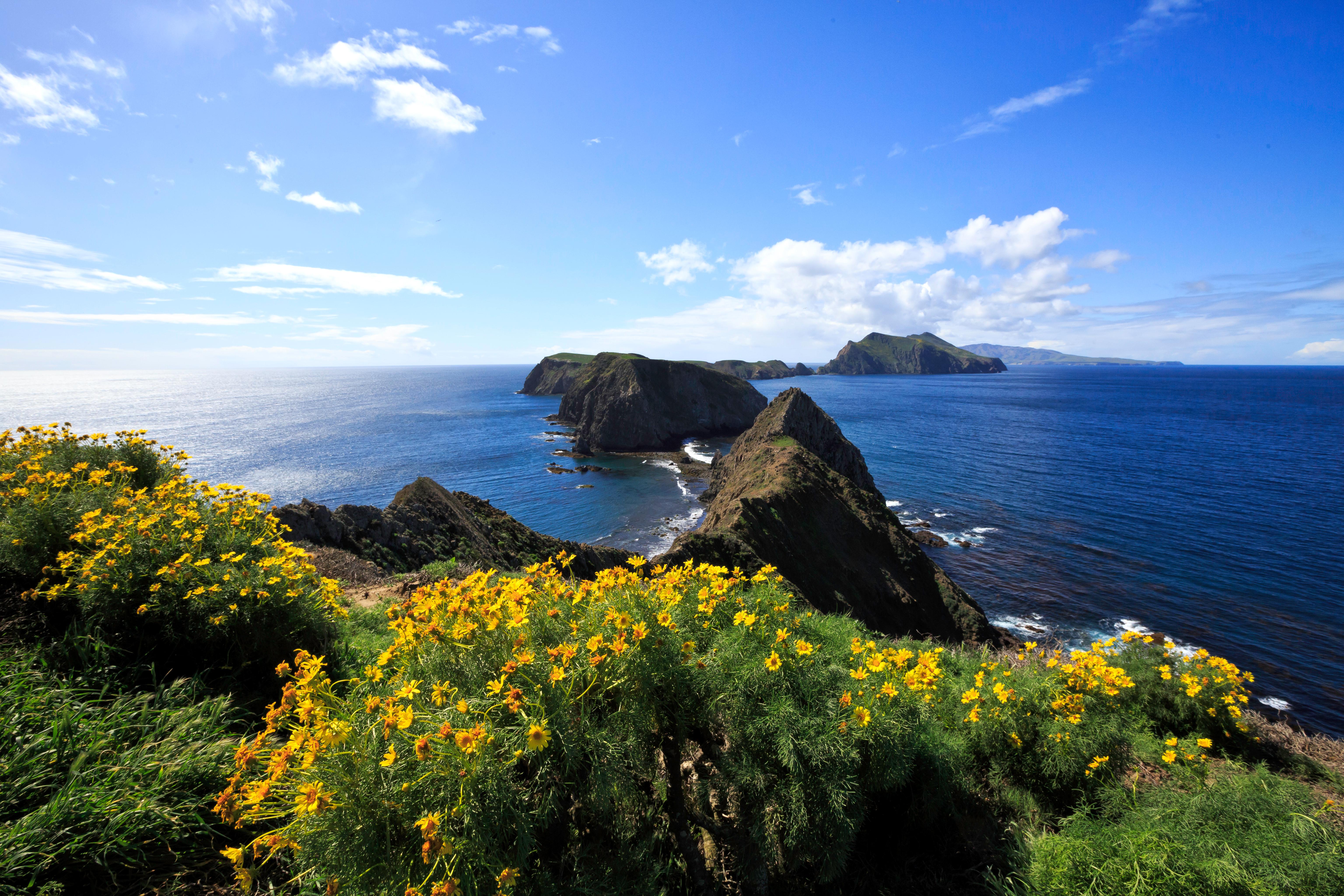 Coastal cliffs and trail above the ocean on Santa Cruz Island in Channel Islands National Park