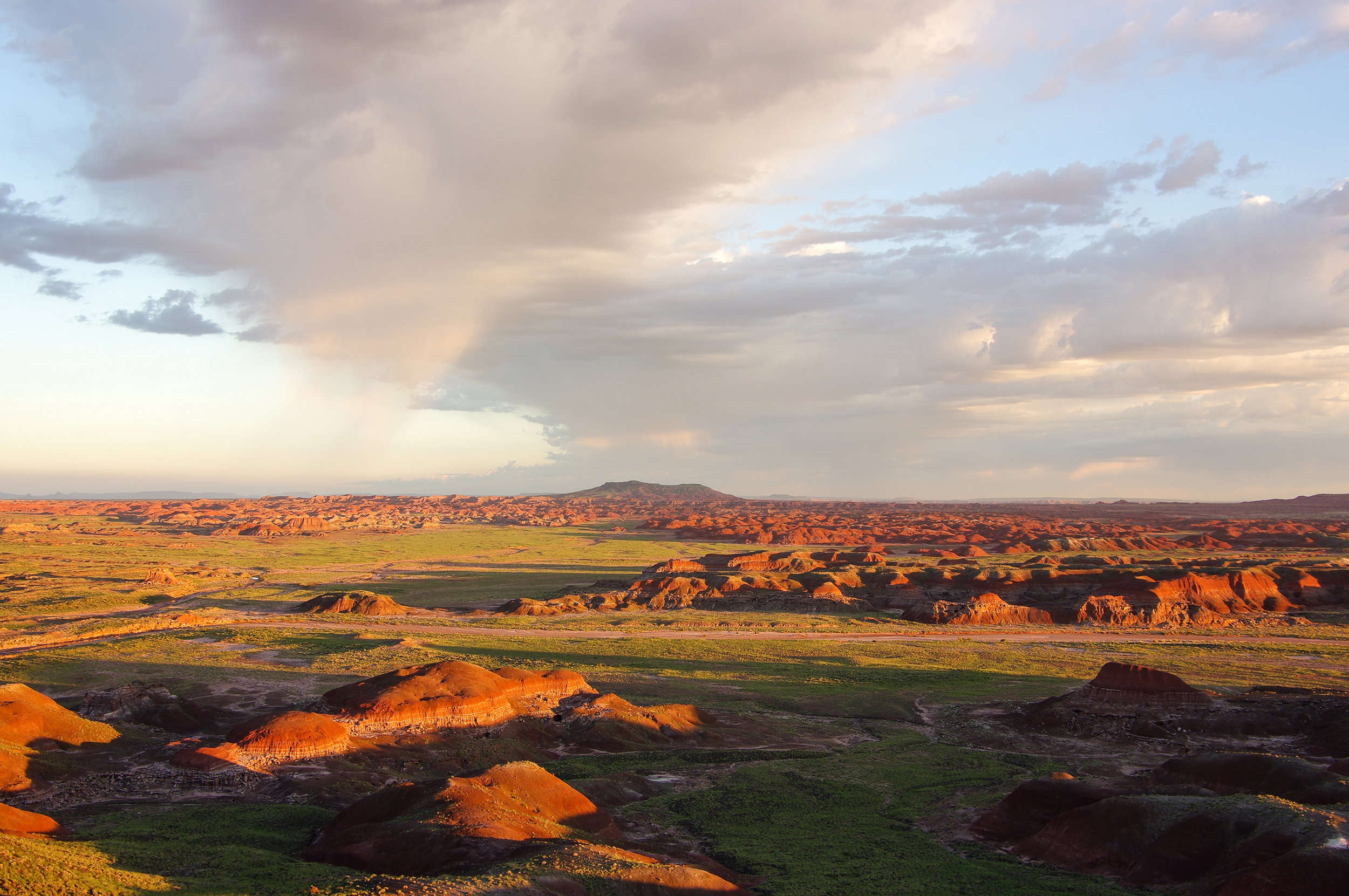 Petrified logs and colorful painted badlands along a trail in Petrified Forest National Park