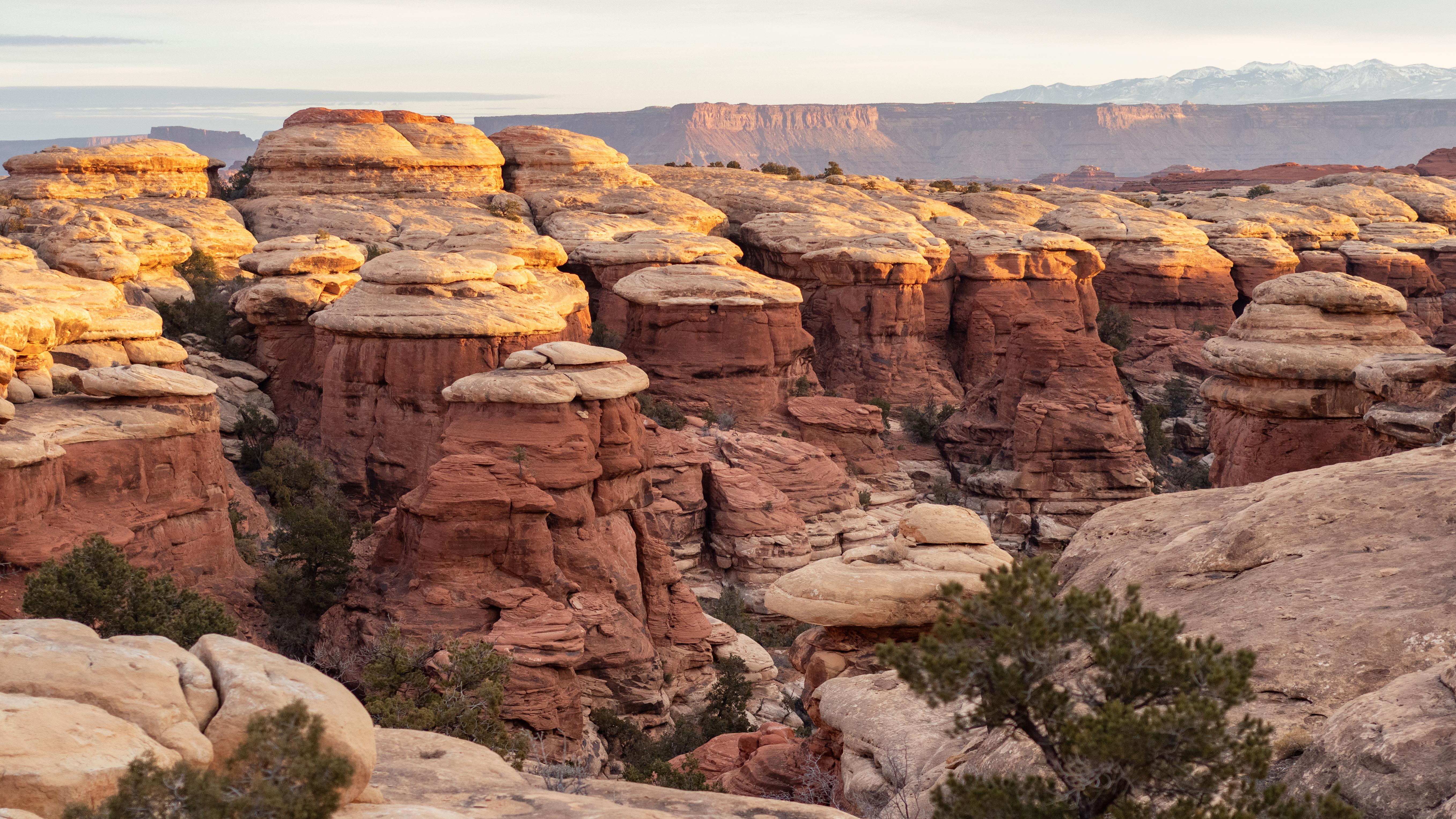 Mesa Arch framing the sandstone canyons of Island in the Sky at sunrise in Canyonlands National Park