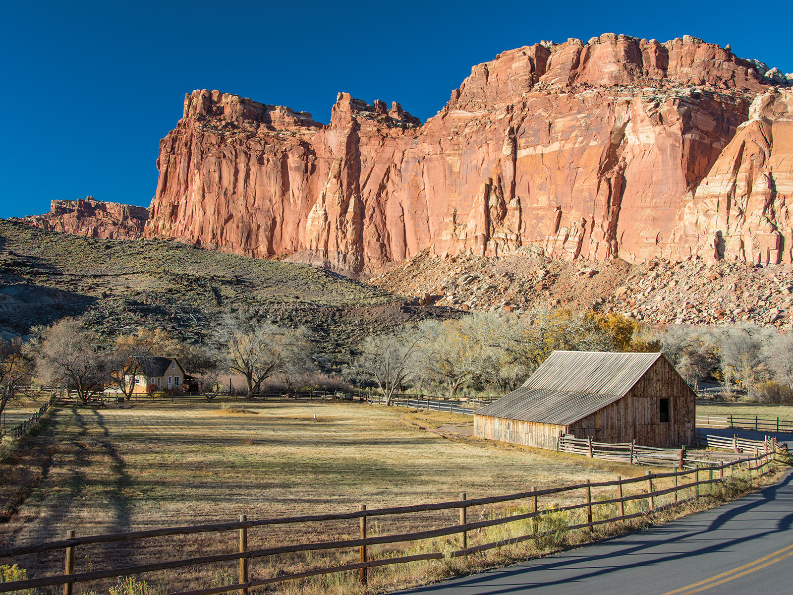 Red sandstone cliffs and domes of the Waterpocket Fold rising above green orchards in Capitol Reef National Park
