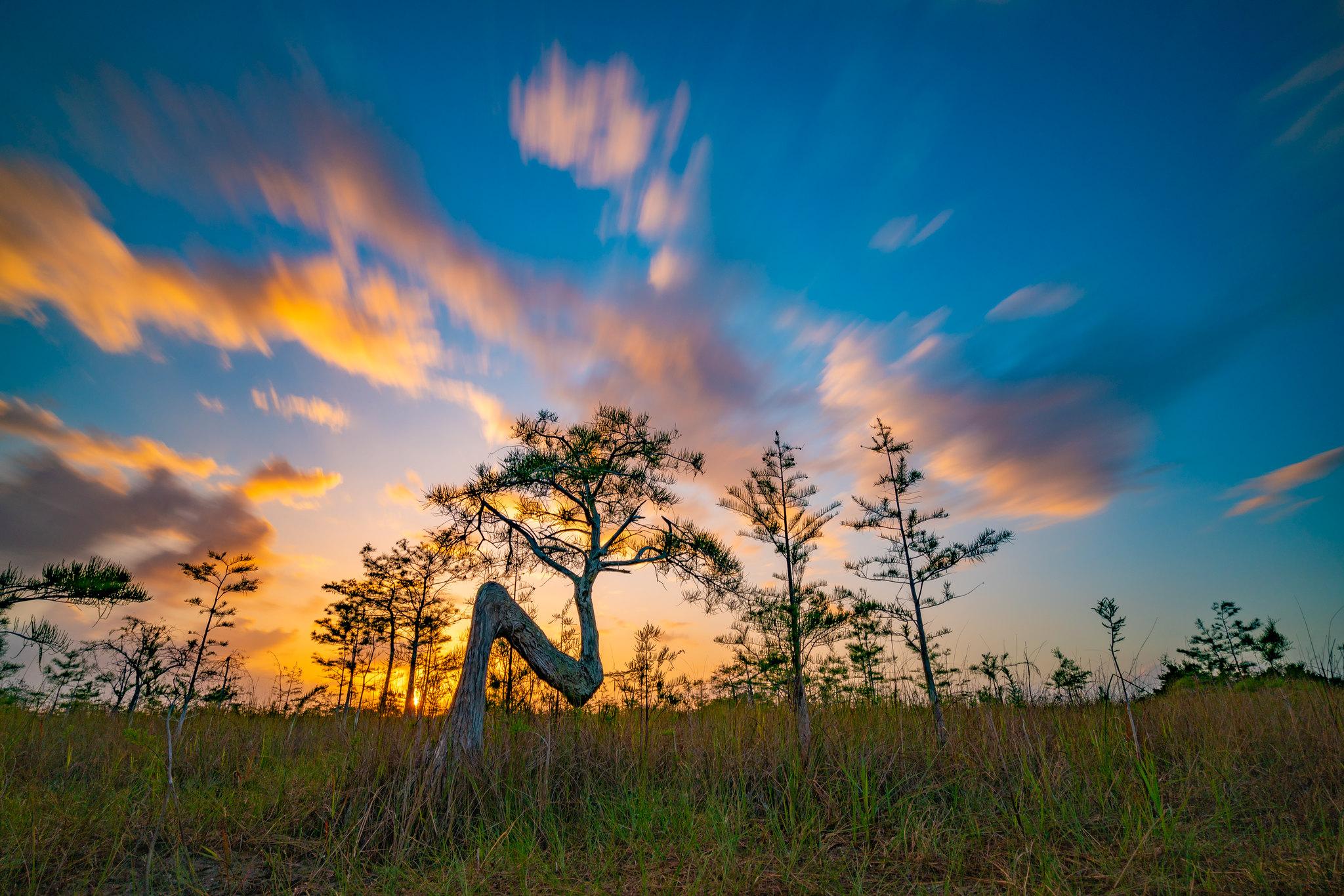 Sawgrass marsh and open water at sunrise in Everglades National Park, Florida