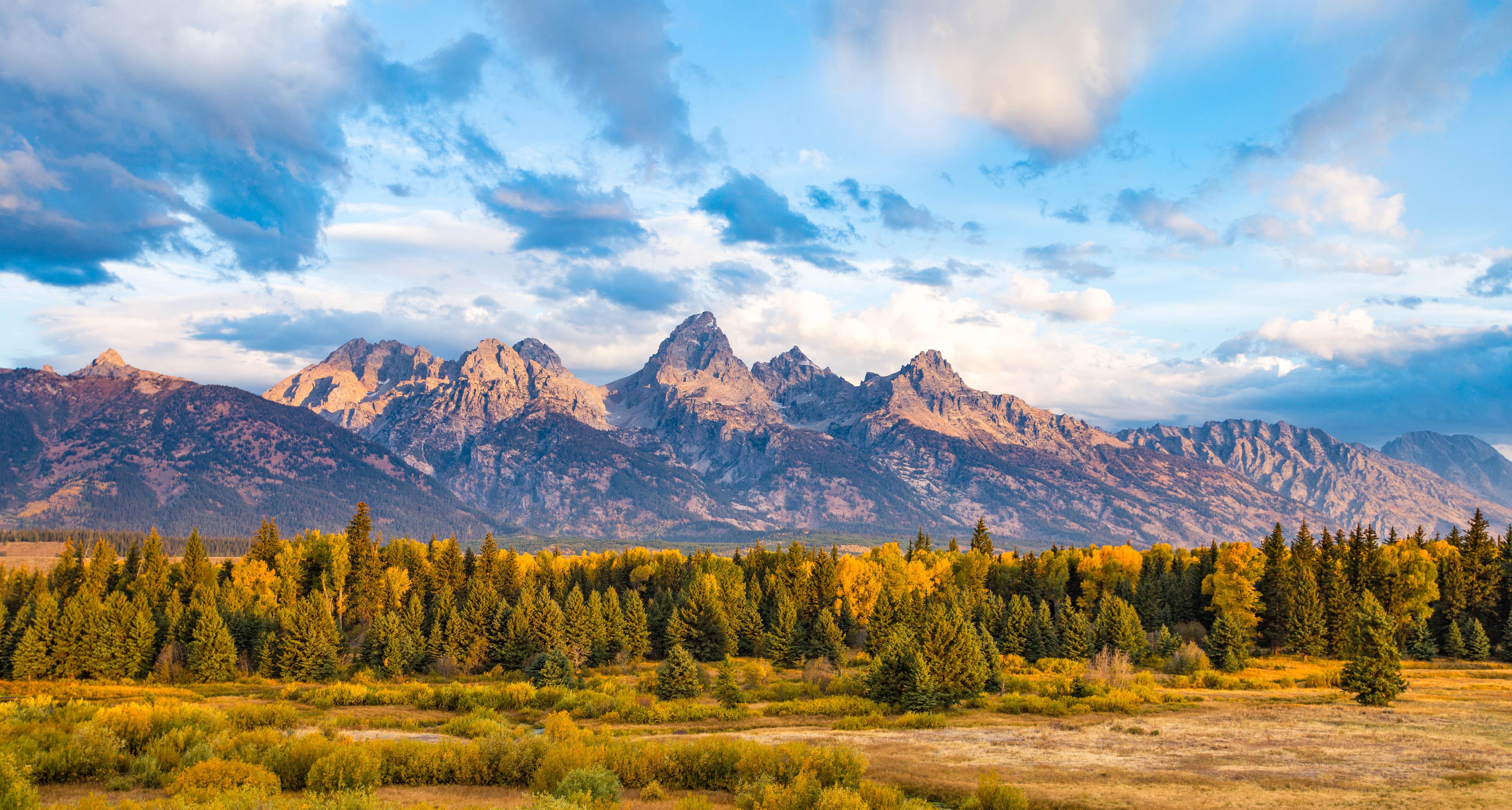Snow-capped Teton Range rising above wildflower meadows in Grand Teton National Park