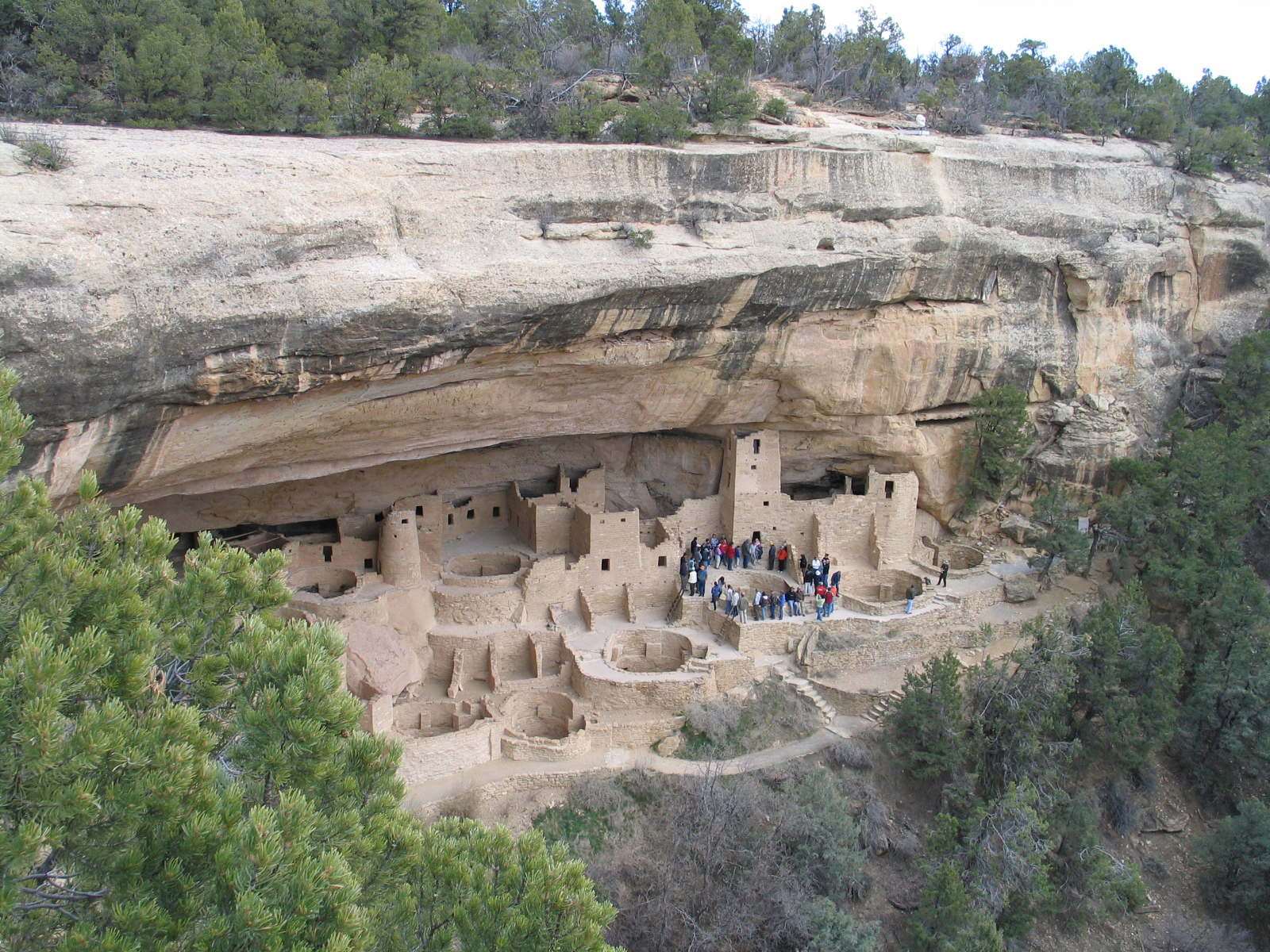 Cliff Palace cliff dwelling set beneath a sandstone alcove at Mesa Verde National Park, Colorado