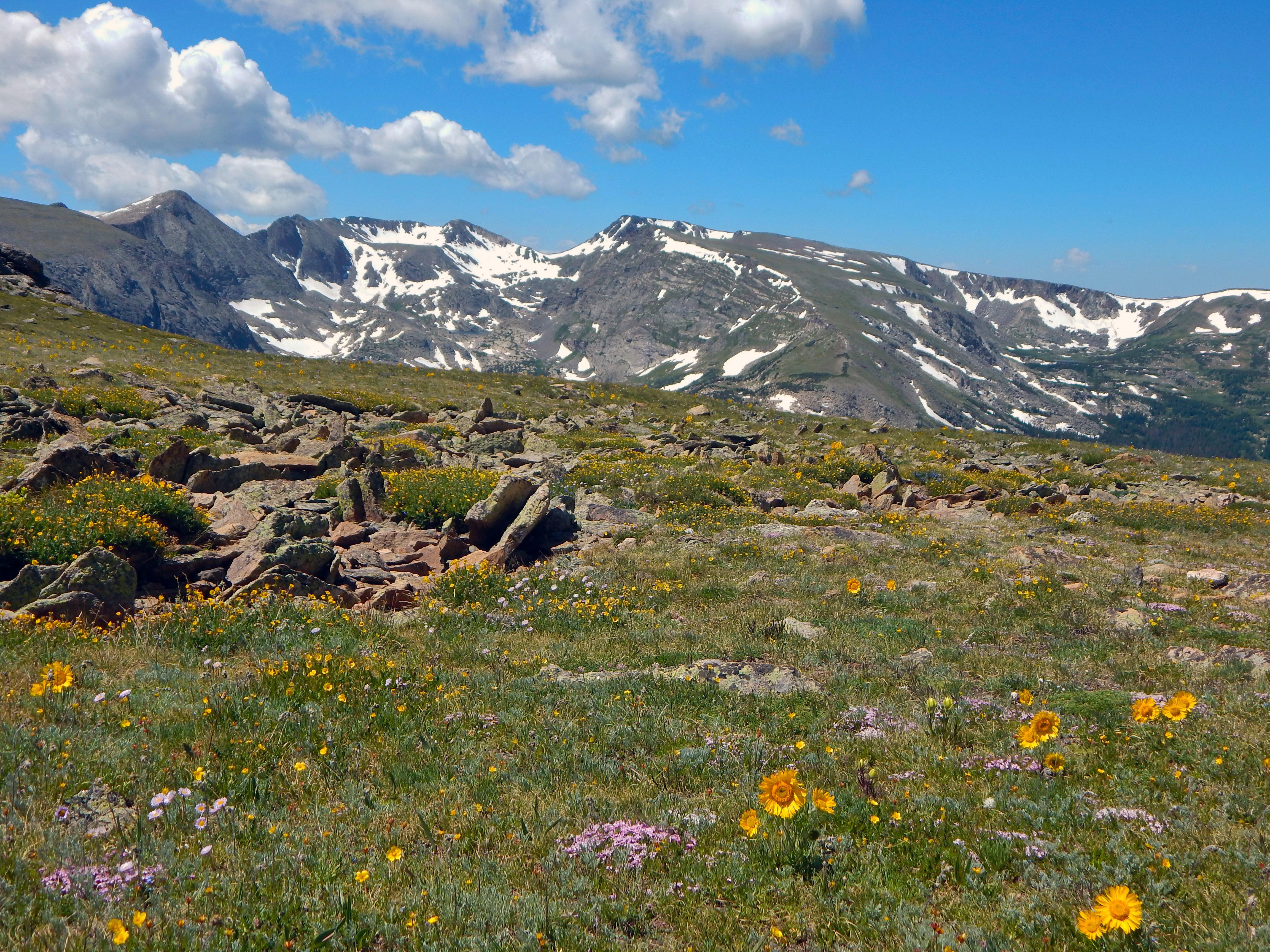 Alpine peaks and a mountain lake in Rocky Mountain National Park, Colorado