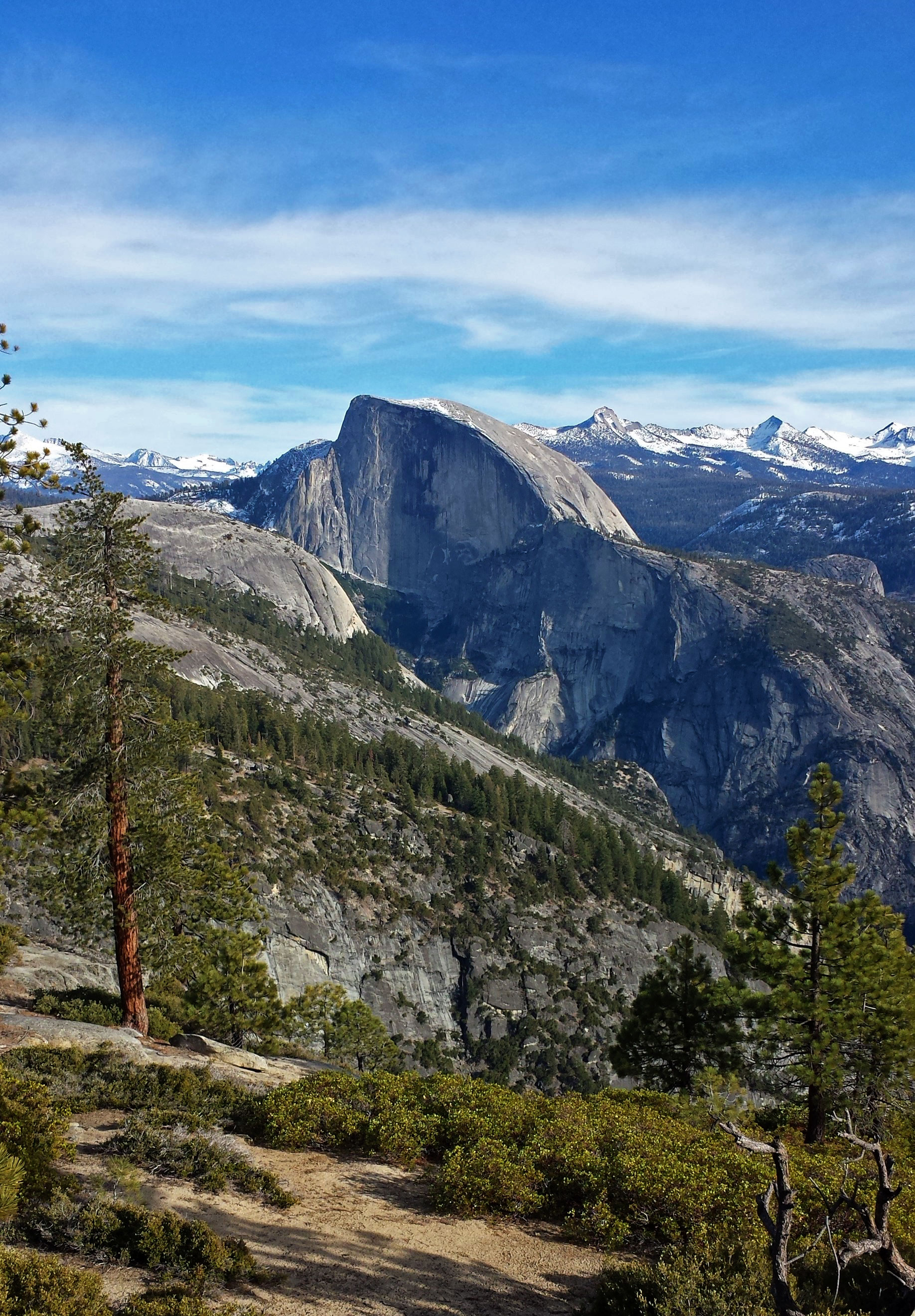 Half Dome and El Capitan rising above the forested floor of Yosemite Valley