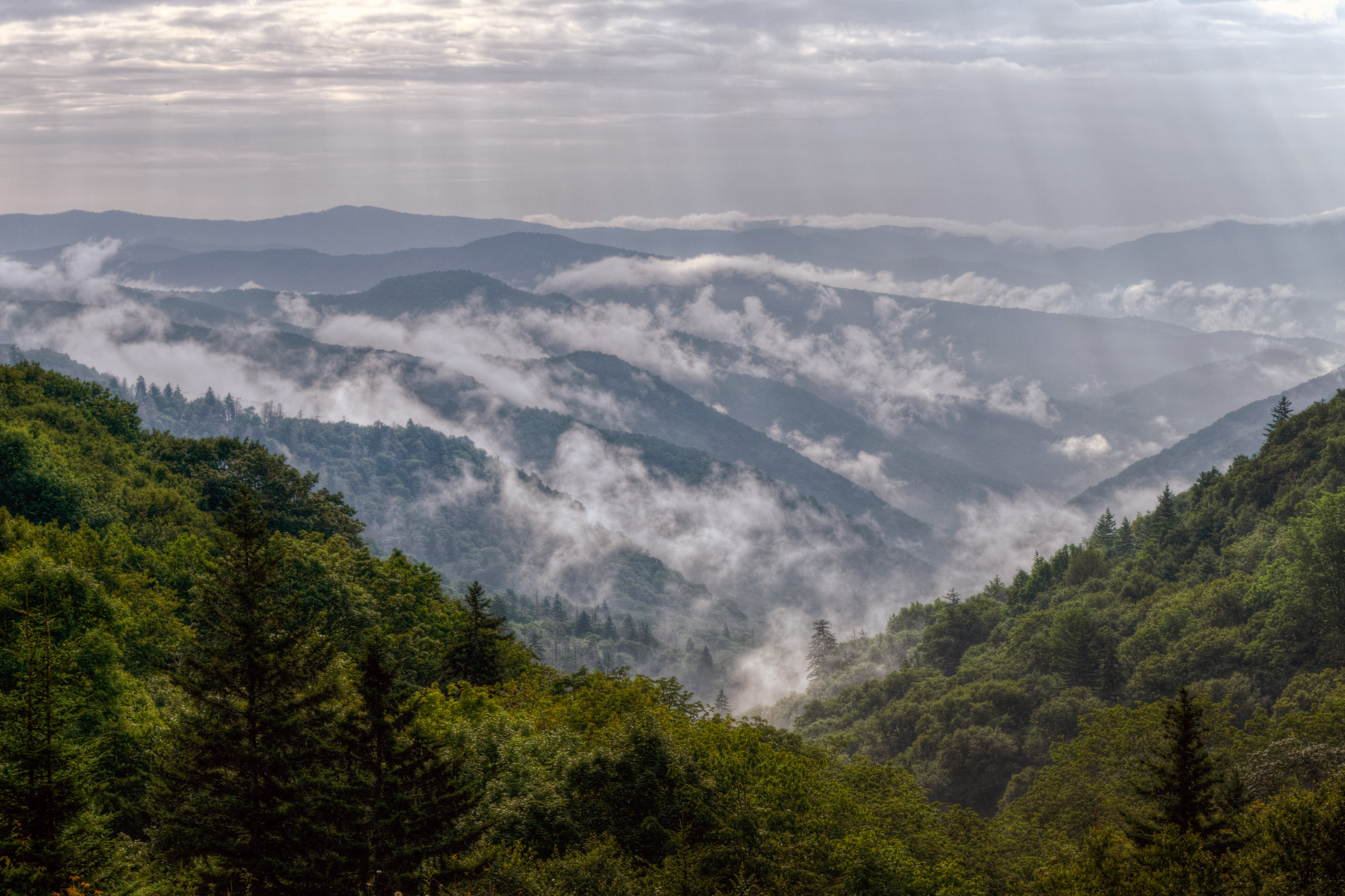 Layered blue ridges at sunrise in Great Smoky Mountains National Park, the most visited US national park