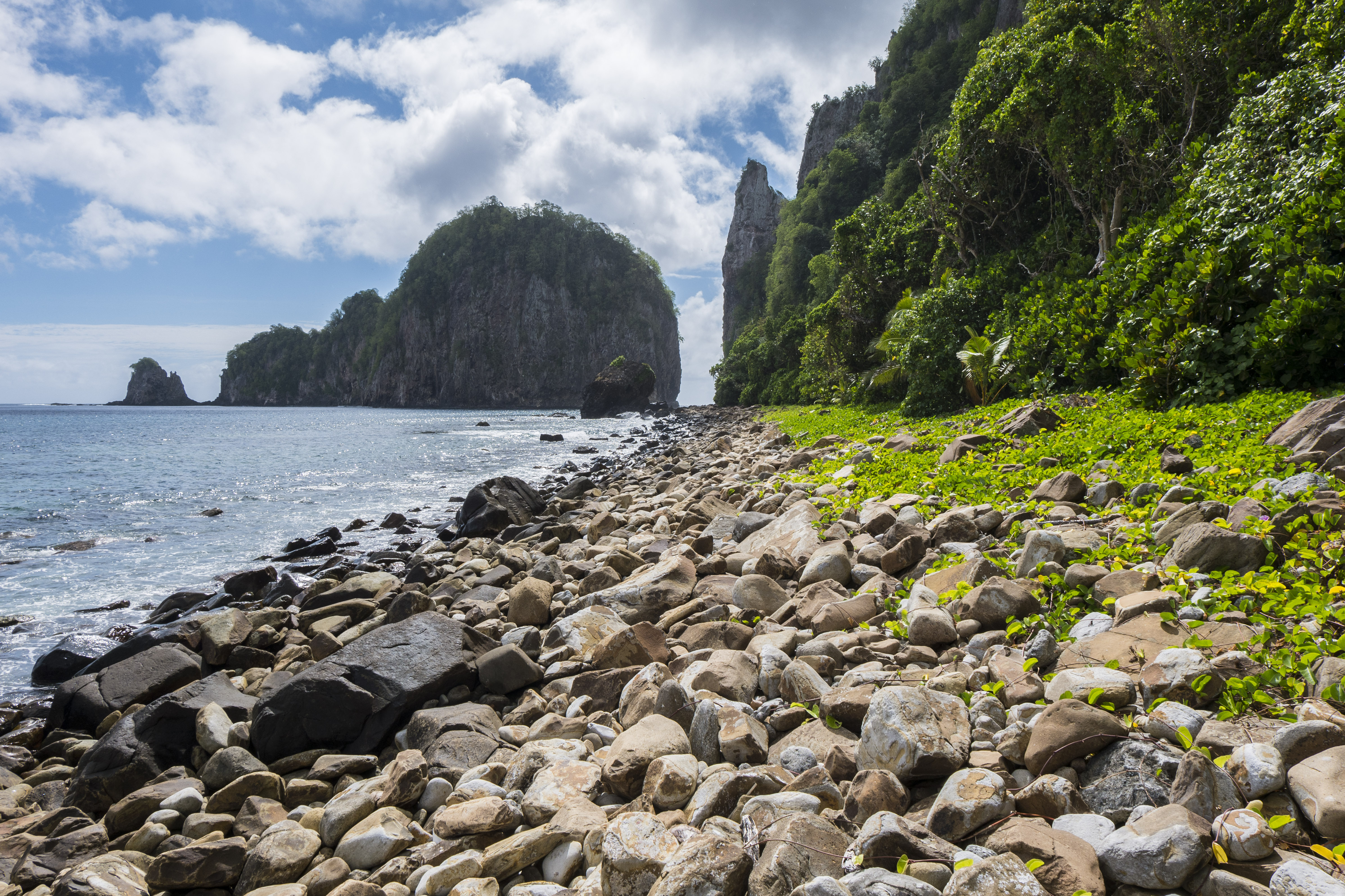 Rainforest ridgeline meeting turquoise Pacific water in the National Park of American Samoa