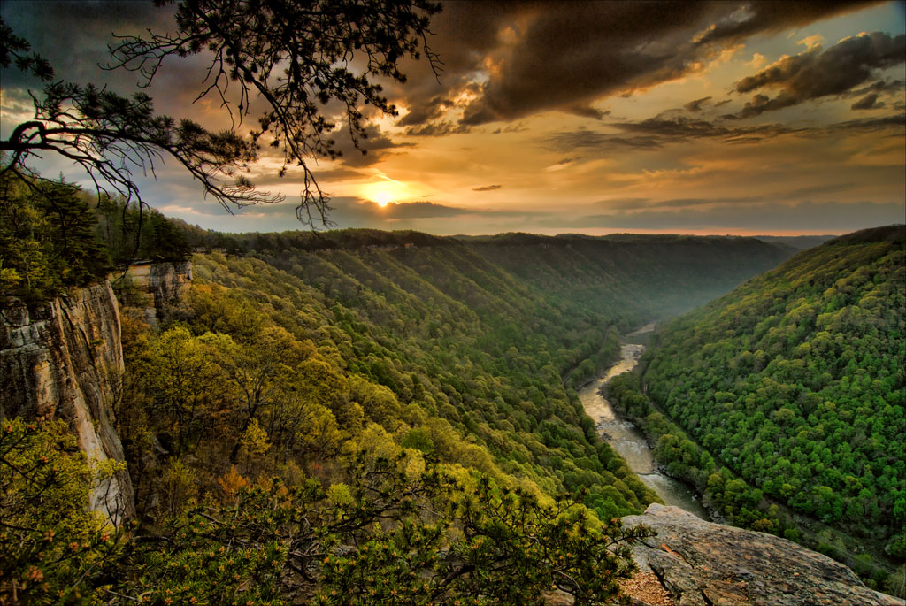 New River Gorge Bridge over a forested canyon in West Virginia